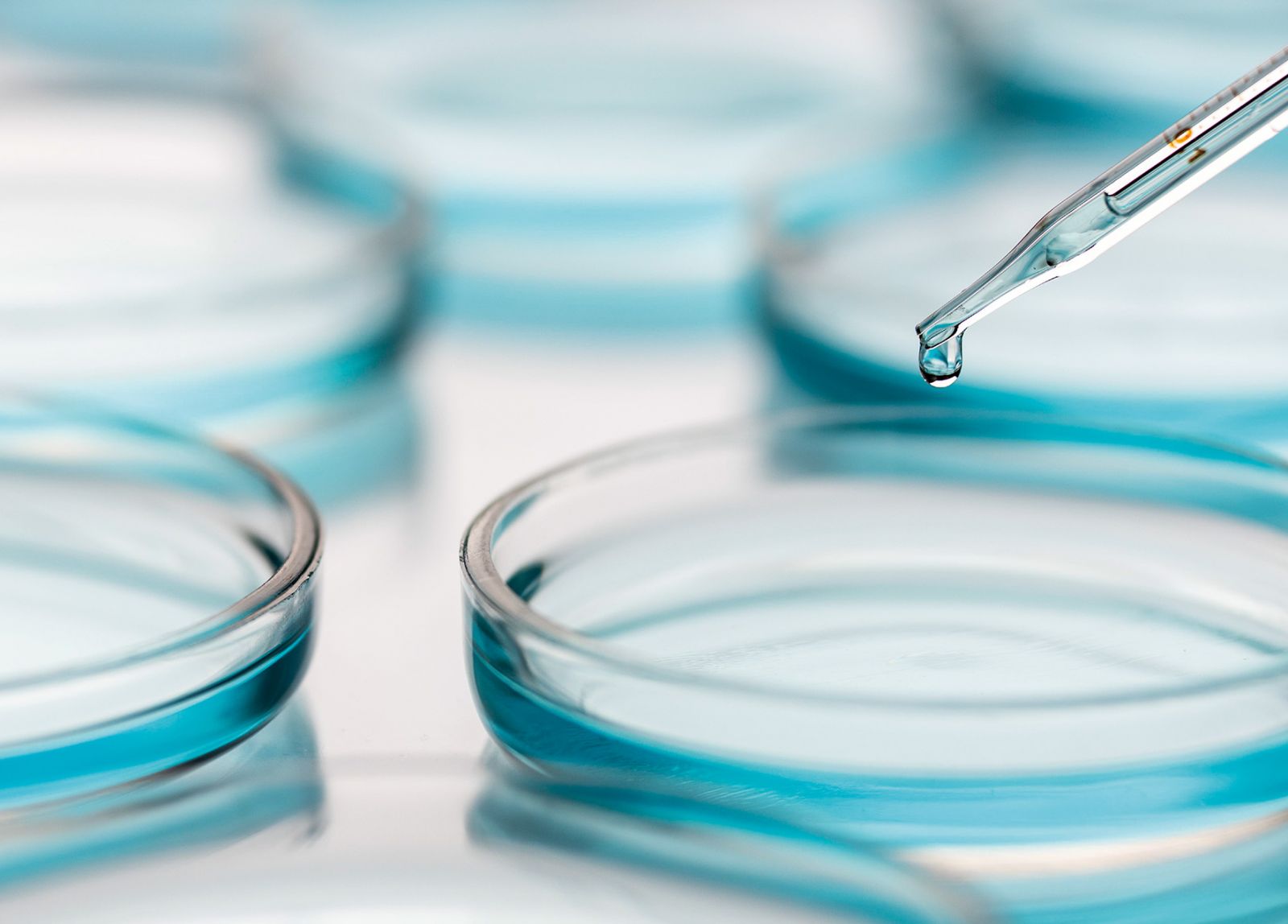 英国·威廉希尔(williamhill)唯一中文官方网站